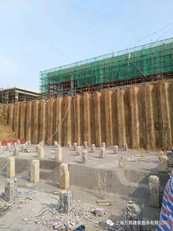 640 (4)_爱奇艺.jpg